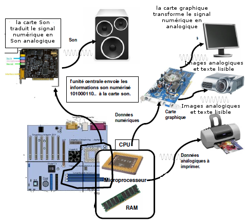 entrée des informations